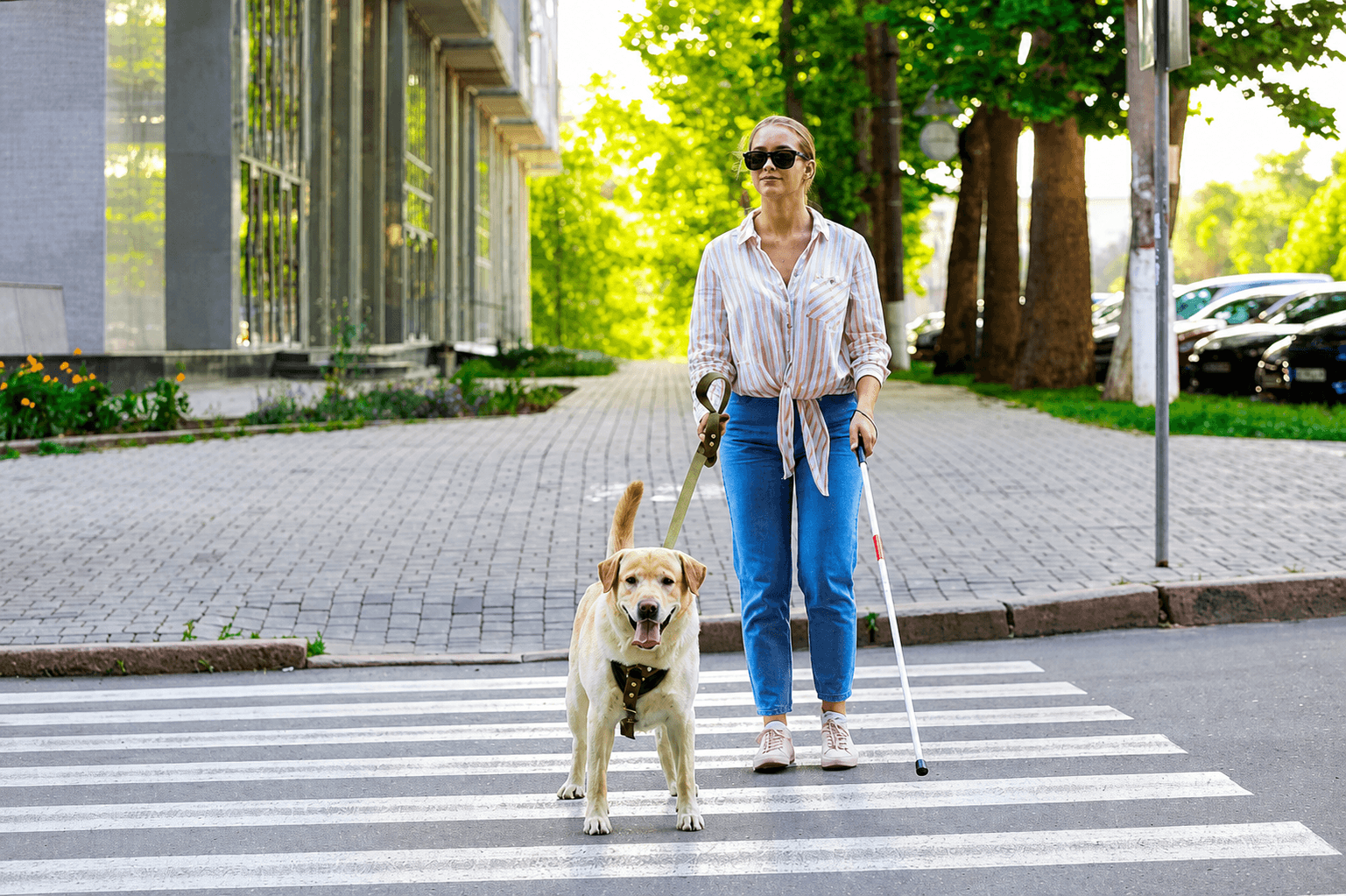 Personne déficiente visuelle accompagnée d’un chien guide